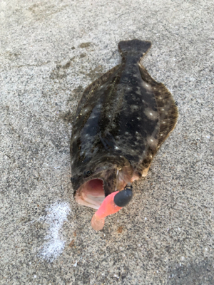 ふらっとフラットフィッシング