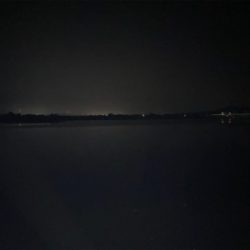 小さいのが遊んでくれた