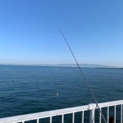 ショアジギングと泳がせ釣り