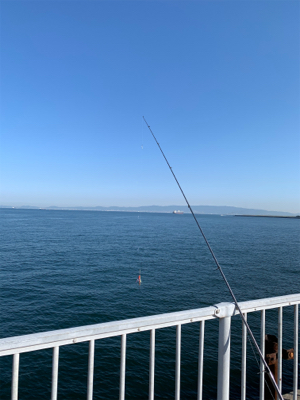 ショアジギングと泳がせ釣り