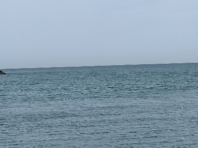 青物釣れるわぁ(笑)