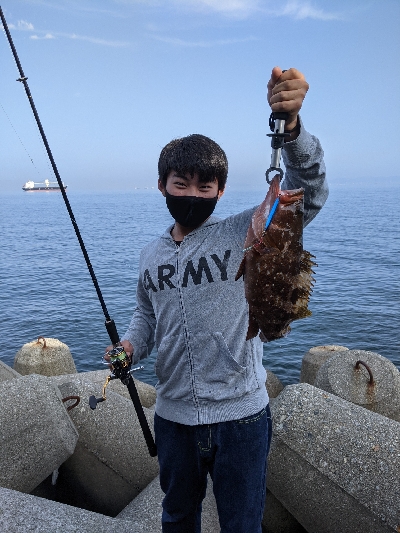 アコウとオマケ