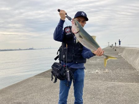 西宮ケーソン、メジロ上がりました