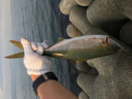 朝イチ省エネ釣行╰(*´︶`*)╯