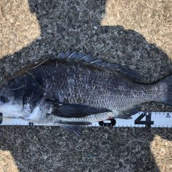 イチノ兄弟、釣果!