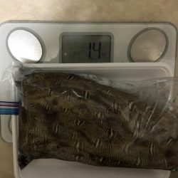 よく走ったのになー