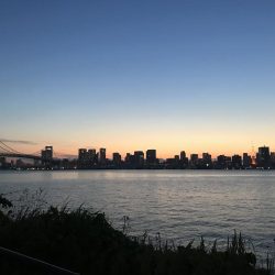 バチ抜けマルタウグイ