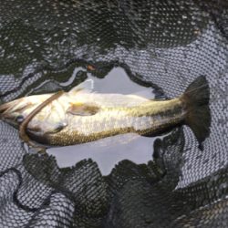 トップが熱かった！