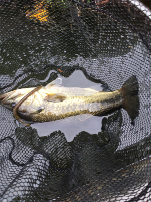 トップが熱かった！