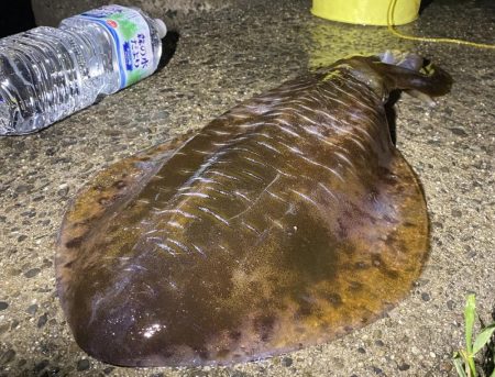 1年ぶりの¥キロアップ