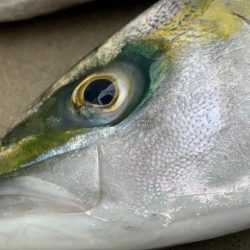 はじめてのカヤックフィッシング