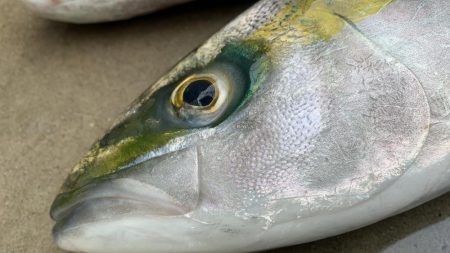 はじめてのカヤックフィッシング