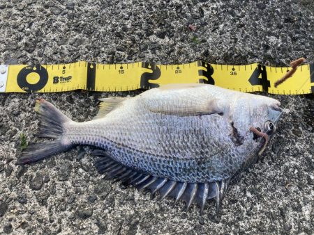 投稿２回目、本日はのんびりの筈が？