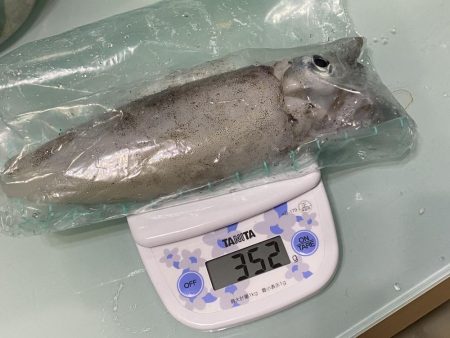 雨やのに、、、