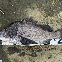 イチノ兄弟、釣果！