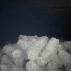 メバルプラッキング