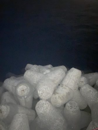 メバルプラッキング