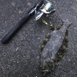 癒やしのガッシー