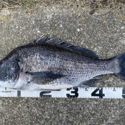 イチノ兄弟、釣果！