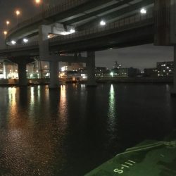 @久しぶりにバチ