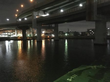 @久しぶりにバチ