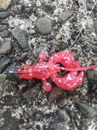 クローワームでディゲーム