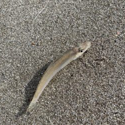 ライトタックルで