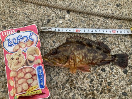 イナバ「とびつく」で・・・