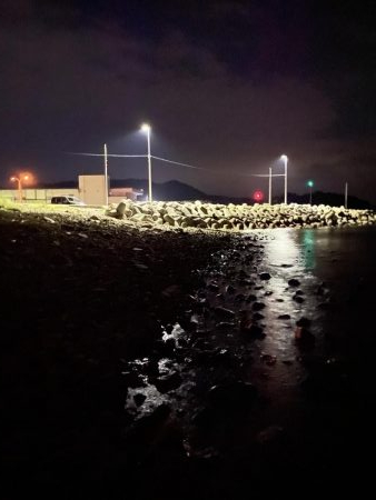 メバル釣れてます！