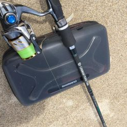 キス釣り上向き