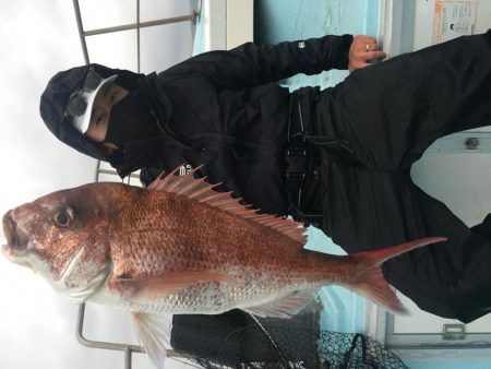 爆爆　大鯛祭り‼࿠…