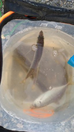 スーパームーン