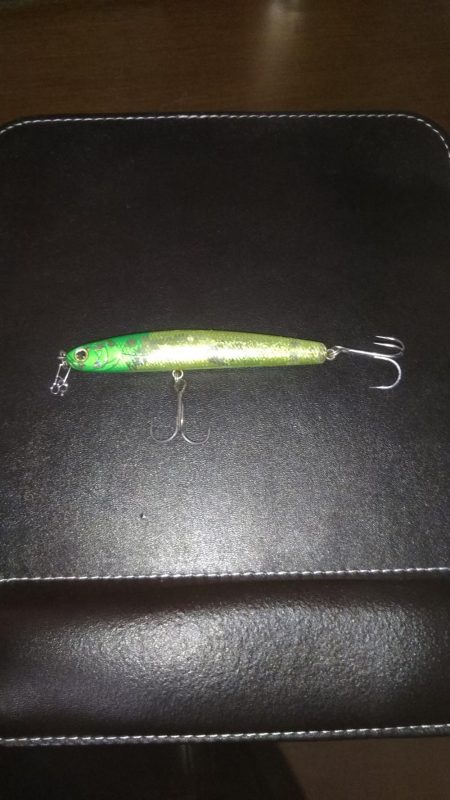 バチ抜けシーバス