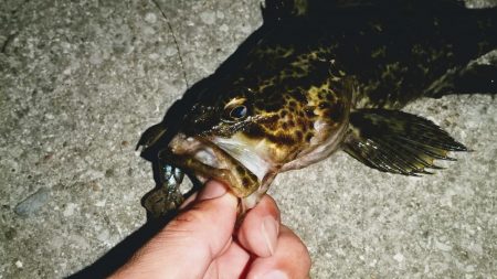 河口のやや深場