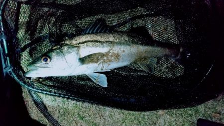 上げのシャローエリア