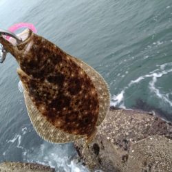 フラットとフラット