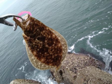 フラットとフラット