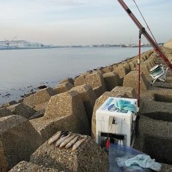 東二見でキス狙い