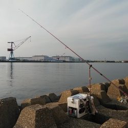 東二見西水路のキス調査