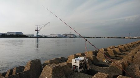 東二見西水路のキス調査