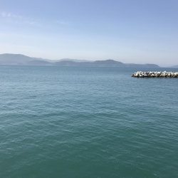 10時半にヒット