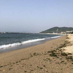 神様、仏様、ビッグバッカー様