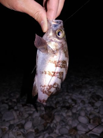 フロートメバリング