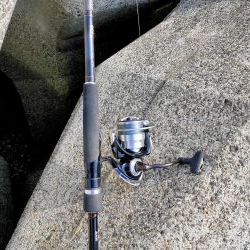 マイクロベイト大量でシーバスボイル