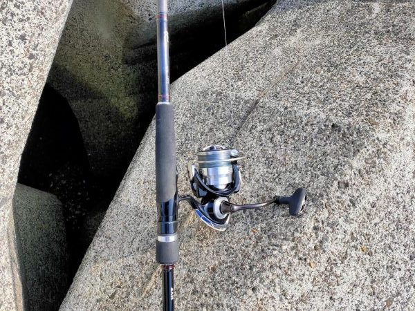 マイクロベイト大量でシーバスボイル