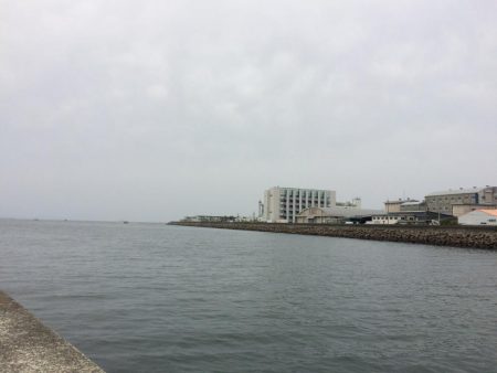 久しぶりの中アジ