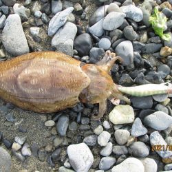 やっぱ道具は大事