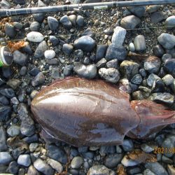 ポツリポツリと