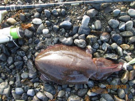 ポツリポツリと