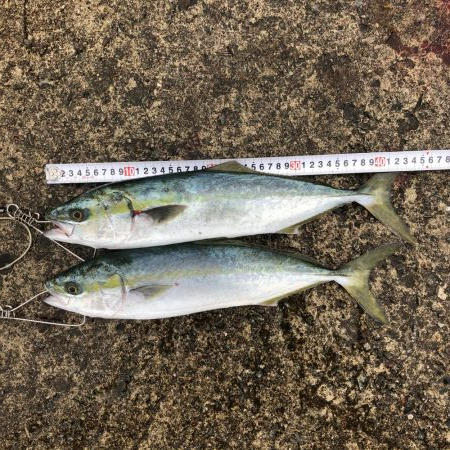 2021 佐渡ヶ島 ショアジギング